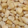 Witte maïs 25 kilo voor € 22,50