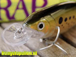 Test Rapala Xrap #13 Jointed (UPDATED MOVIE!!)